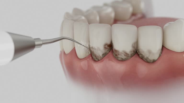 Reliable Dental contractor in Lodi, WI by Dentist Open Now
